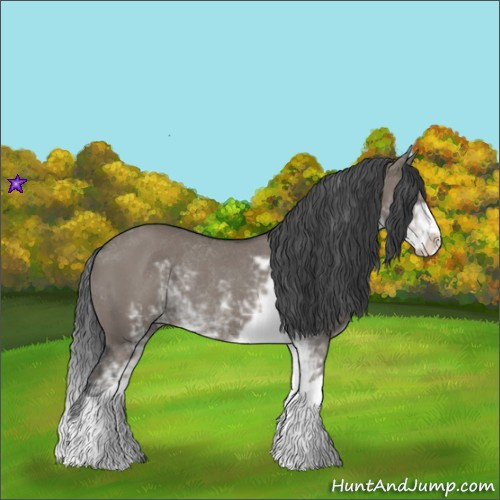 Horse Color:Grullo Sabino Rabicano