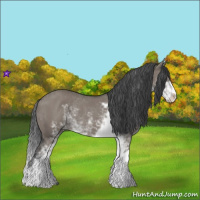 Horse Color:Grullo Sabino Rabicano 