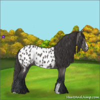 Horse Color:Grullo Sabino Near Leopard Rabicano 
