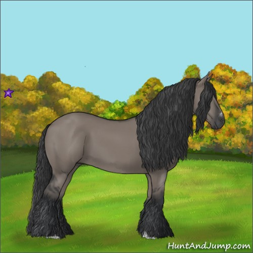 Horse Color:Grullo Sabino Rabicano