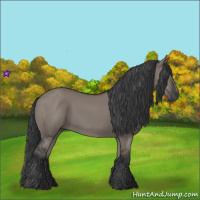 Horse Color:Grullo Sabino Rabicano 