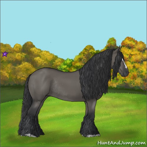 Horse Color:Grullo Sabino Rabicano