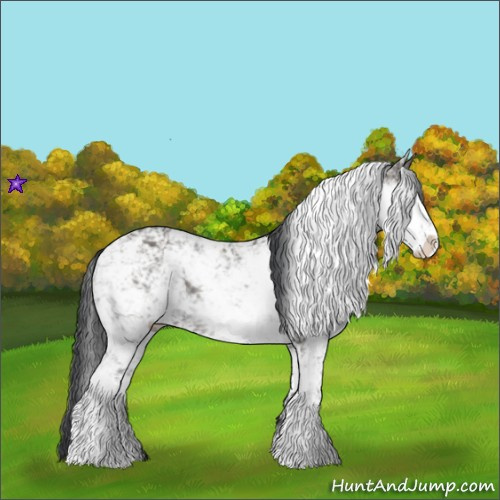Horse Color:Grullo Sabino Rabicano