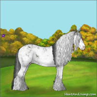 Horse Color:Grullo Sabino Rabicano