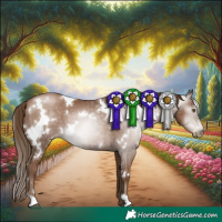 Horse Color:Gray White Spotted Black Pearl