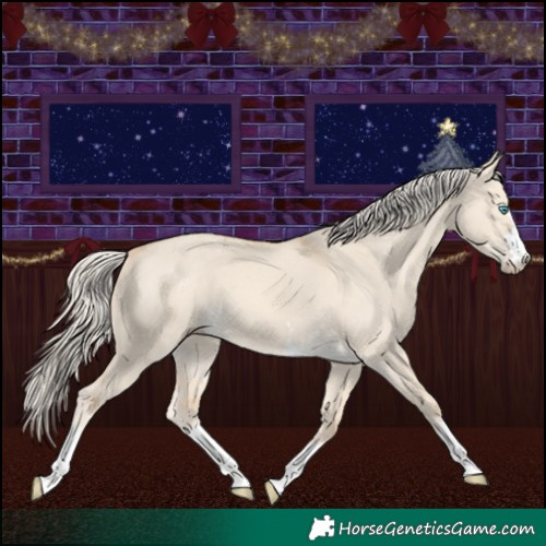 Horse Color:Cremello Dun 