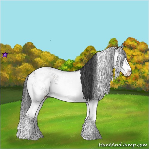 Horse Color:Grullo Sabino Rabicano 