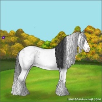 Horse Color:Grullo Sabino Rabicano 