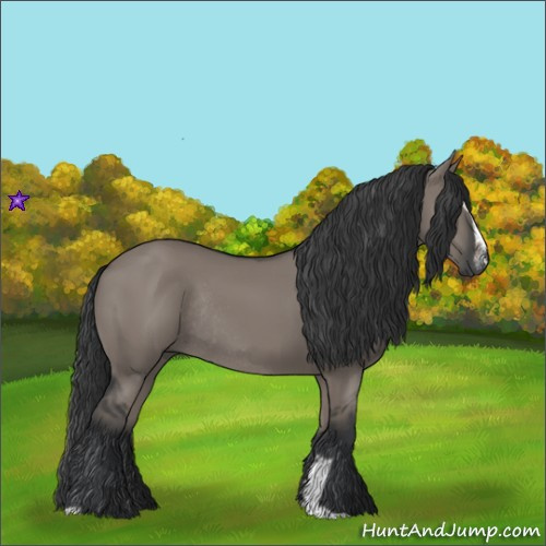 Horse Color:Grullo Sabino Rabicano