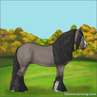 Horse Color:Grullo Sabino Rabicano 