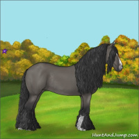 Horse Color:Grullo Sabino Rabicano 