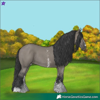 Horse Color:Grullo Sabino Rabicano