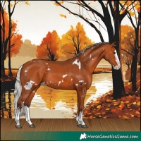 Horse Color:White Spotted Silver Bay Splash Rabicano 