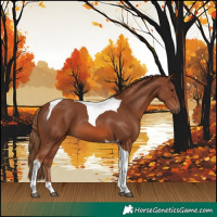 Horse Color:Chestnut Tobiano 