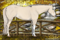 Horse Color:Cremello Dun 