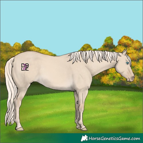 Horse Color:Cremello Dun 