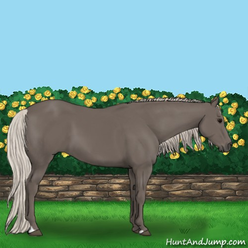Horse Color:Silver Black