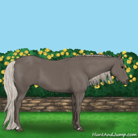 Horse Color:Silver Black 