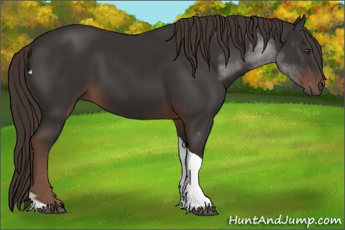 Horse Color:Liver Chestnut Tobiano 