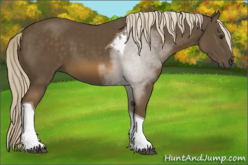 Horse Color:Chocolate Palomino Tobiano 