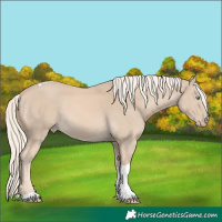 Horse Color:Cremello Tobiano
