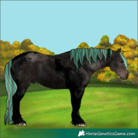Horse Color:Void Painted Silver Black Tobiano 