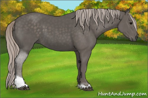 Horse Color:Silver Black Tobiano 