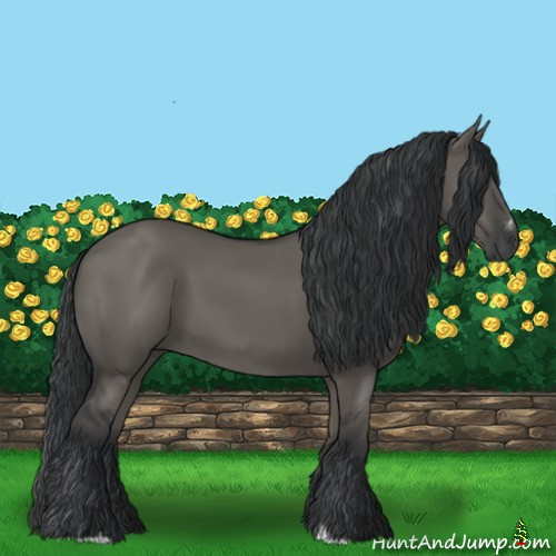 Horse Color:Grullo Sabino Rabicano