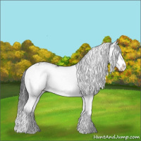 Horse Color:Grullo Sabino Splash Rabicano 