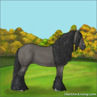 Horse Color:Grullo Sabino Rabicano 