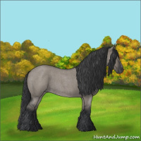 Horse Color:Grullo Roan Sabino Rabicano 
