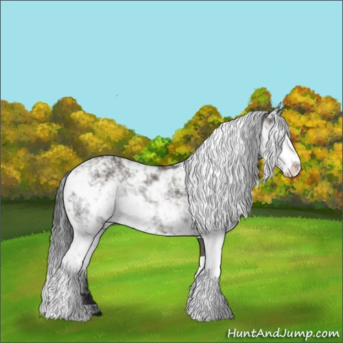 Horse Color:Grullo Sabino Rabicano 