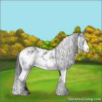 Horse Color:Grullo Sabino Rabicano 