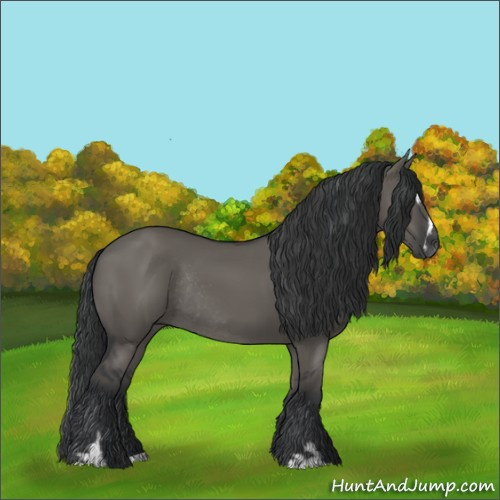 Horse Color:Grullo Sabino Rabicano 