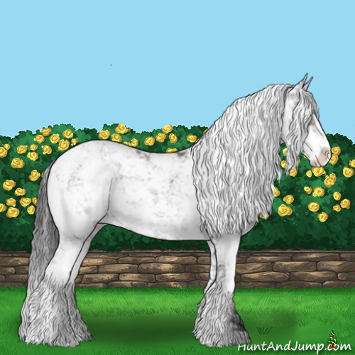 Horse Color:Grullo Sabino Rabicano