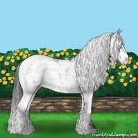 Horse Color:Grullo Sabino Rabicano 