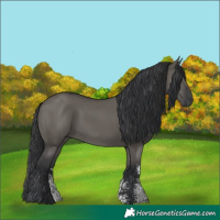 Horse Color:Grullo Sabino Rabicano 