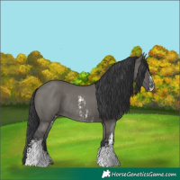 Horse Color:Grullo Sabino Rabicano 