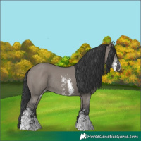 Horse Color:Grullo Sabino Rabicano 