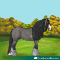 Horse Color:Grullo Sabino Rabicano 