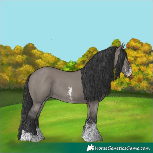 Horse Color:Grullo Sabino Rabicano