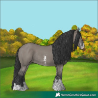 Horse Color:Grullo Sabino Rabicano 