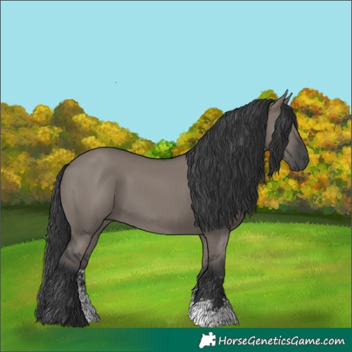 Horse Color:Grullo Sabino Rabicano 