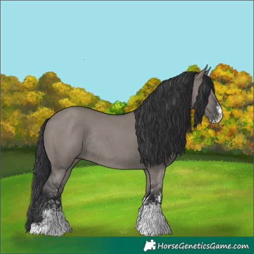 Horse Color:Grullo Sabino Rabicano 