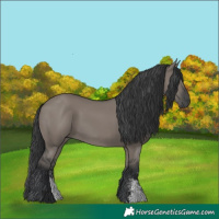 Horse Color:Grullo Sabino Rabicano 