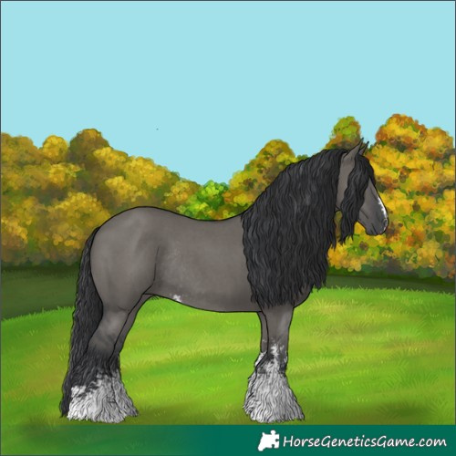 Horse Color:Grullo Sabino Rabicano
