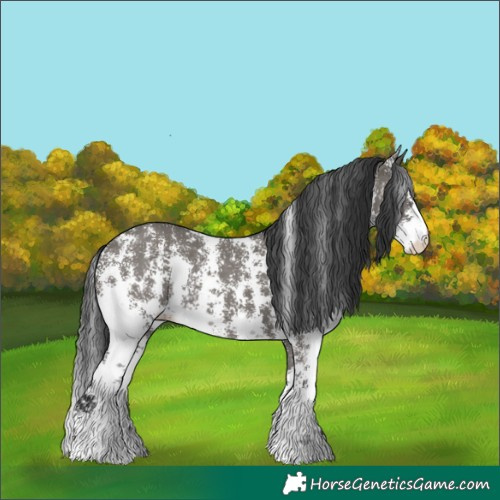 Horse Color:Grullo Sabino Rabicano 