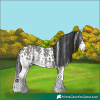 Horse Color:Grullo Sabino Rabicano 