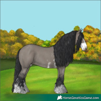 Horse Color:Grullo Sabino Rabicano 