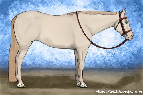 Horse Color:Smoky Creme Dun